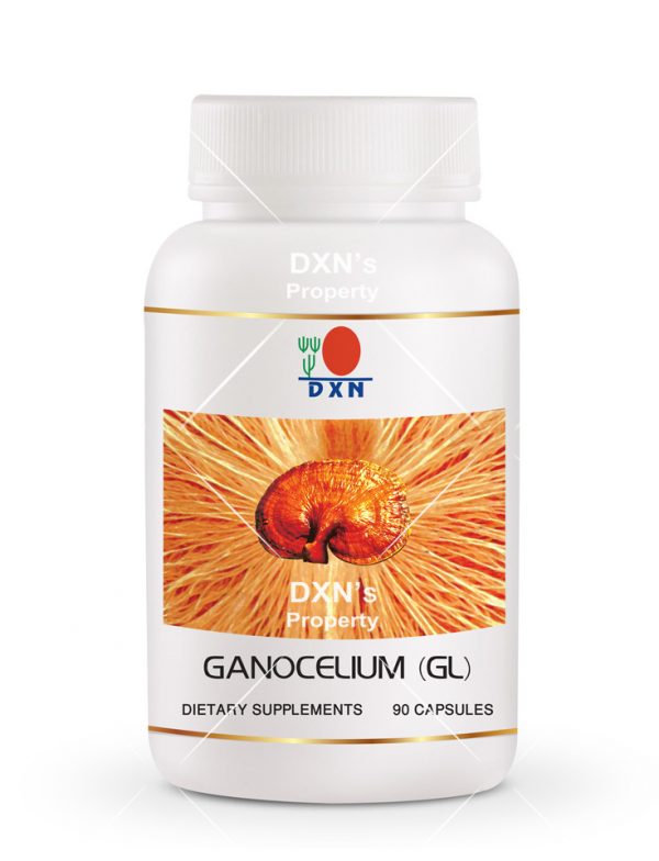 Ganocelium GL90 DXN