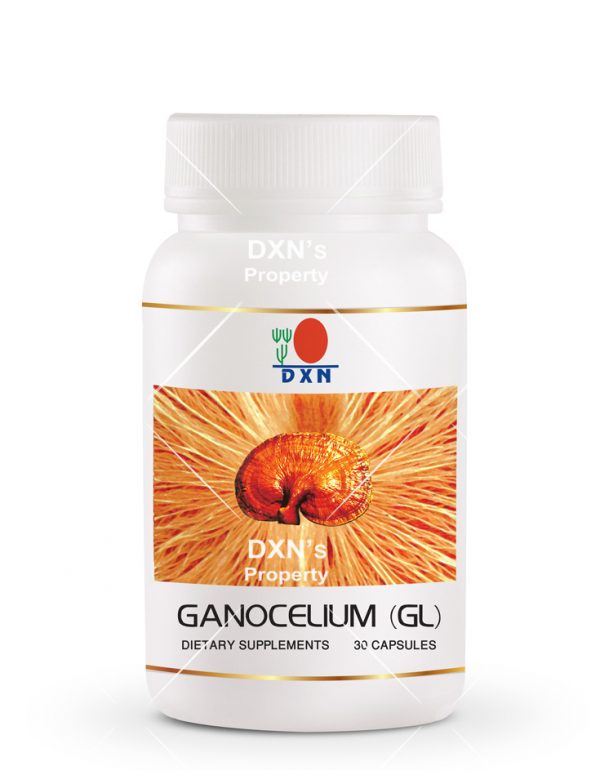 Ganocelium GL30 DXN