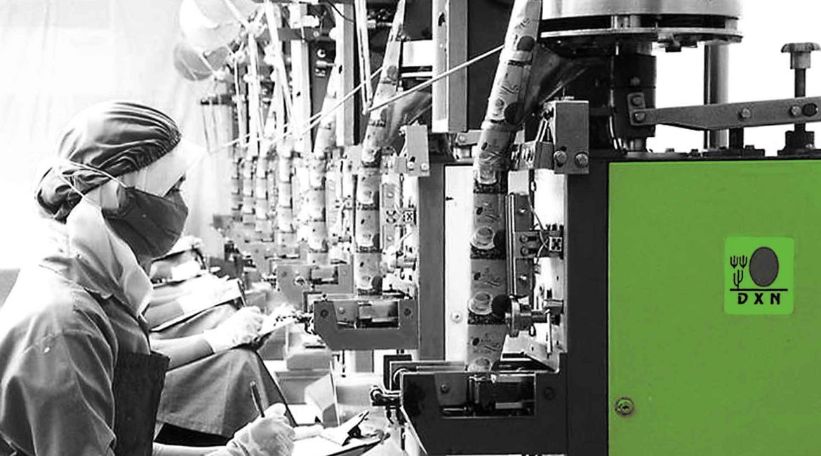 Los Secretos Detrás de la Producción de Ganoderma de DXN